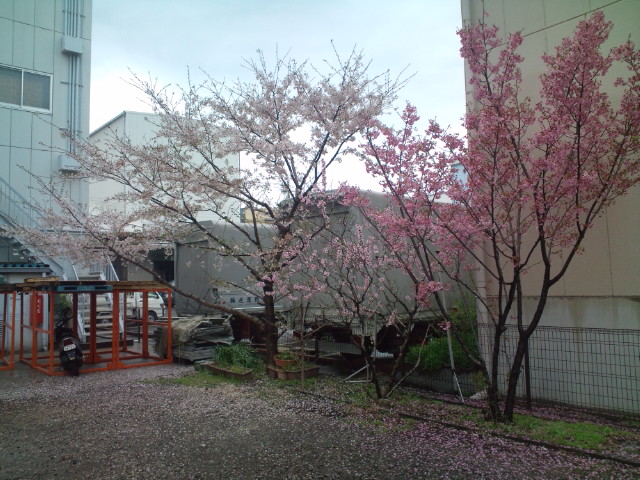 e0045139_9559100.jpg