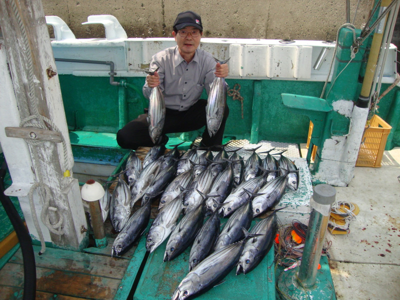 土佐湾でカツオ100kg200kgと好釣です【カジキ・マグロトローリング】_f0009039_10301261.jpg
