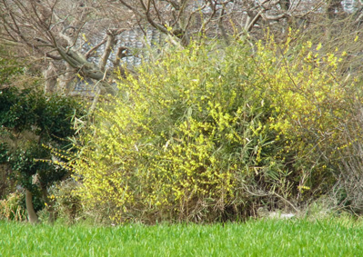 f0206939_19222760.jpg