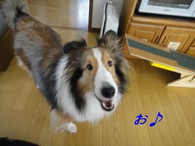 あくびの美味しい捻挫療養生活_e0195743_16392994.jpg