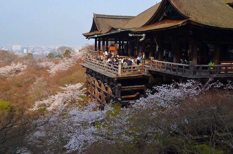 清水寺の桜便り_e0237645_16405389.jpg