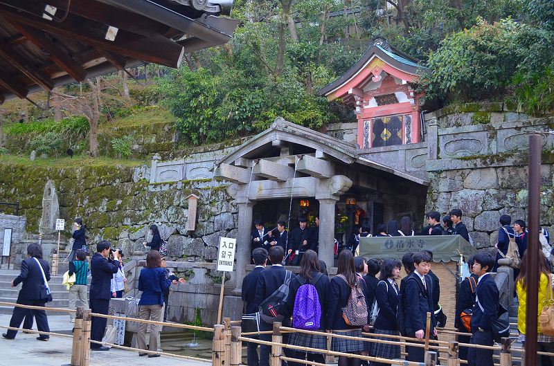 清水寺の桜便り_e0237645_16422081.jpg