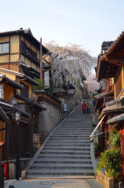 清水寺の桜便り_e0237645_16423355.jpg