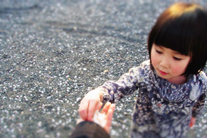さくら、2012._d0227246_2158064.jpg