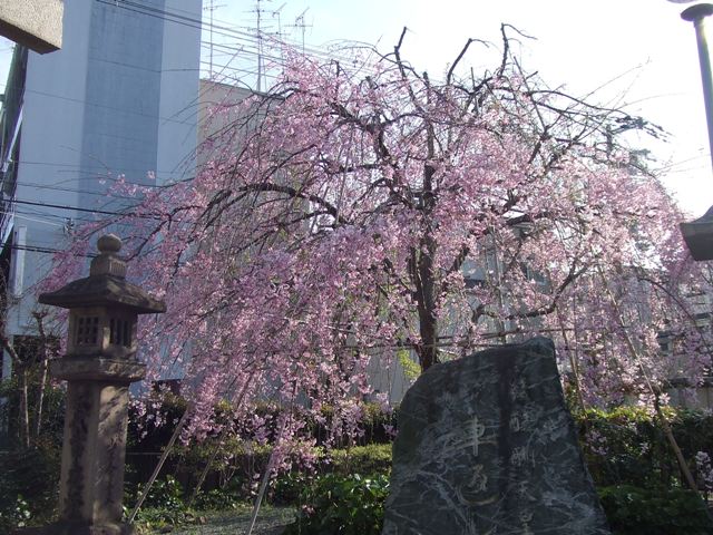 e0046748_1843178.jpg