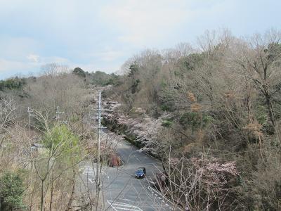 お花見の下見＆定年後生活の下見(和歌山）_f0064449_820771.jpg