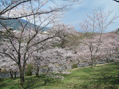 お花見の下見＆定年後生活の下見(和歌山）_f0064449_8403497.jpg