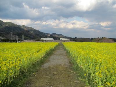 お花見の下見＆定年後生活の下見(和歌山）_f0064449_9564313.jpg