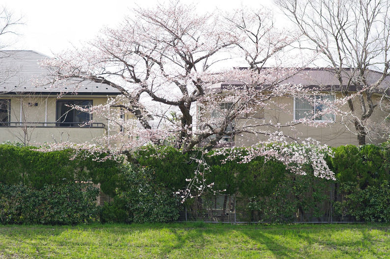 f0152550_22382443.jpg