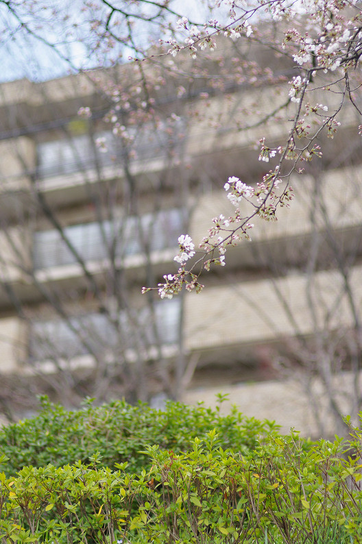 f0152550_2238661.jpg
