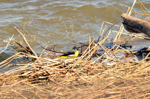 b0165760_2044344.jpg