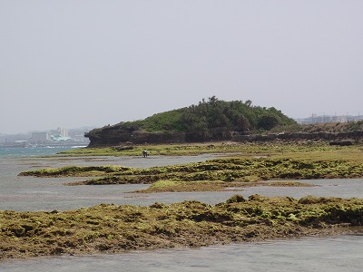 c0180460_0484258.jpg