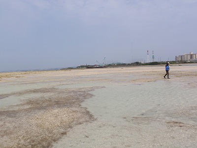 c0180460_053892.jpg