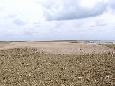 c0180460_11513526.jpg