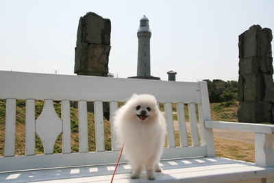 温泉旅行　～海辺のドライブ～_d0054461_1730534.jpg