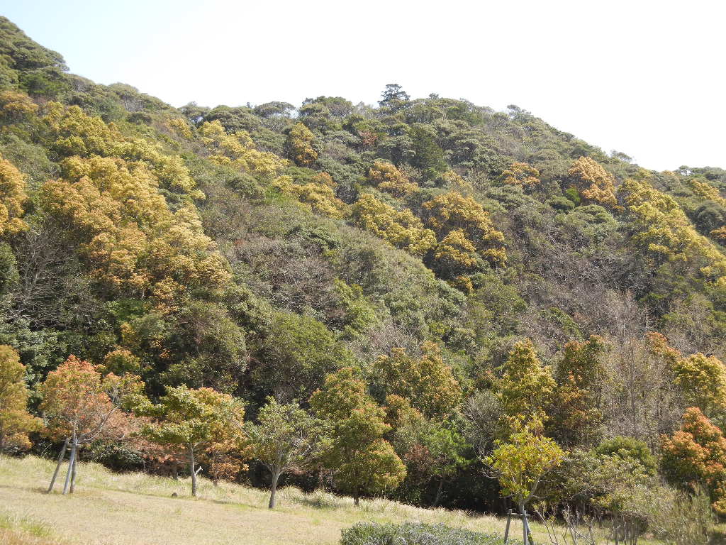 2012年4月12日(木)まだ桜が咲いてたYO!_f0060461_13575451.jpg