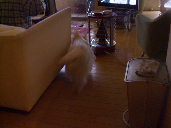 パンちょうだい_b0107163_1393336.jpg