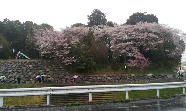 c0023165_8584189.jpg