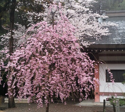 c0023165_8595361.jpg