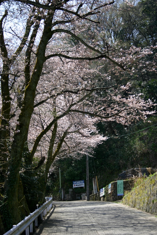 c0087867_22292365.jpg