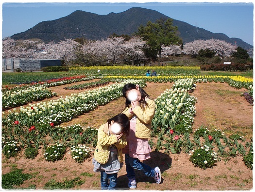 入園式＆お花見_a0133971_12142814.jpg