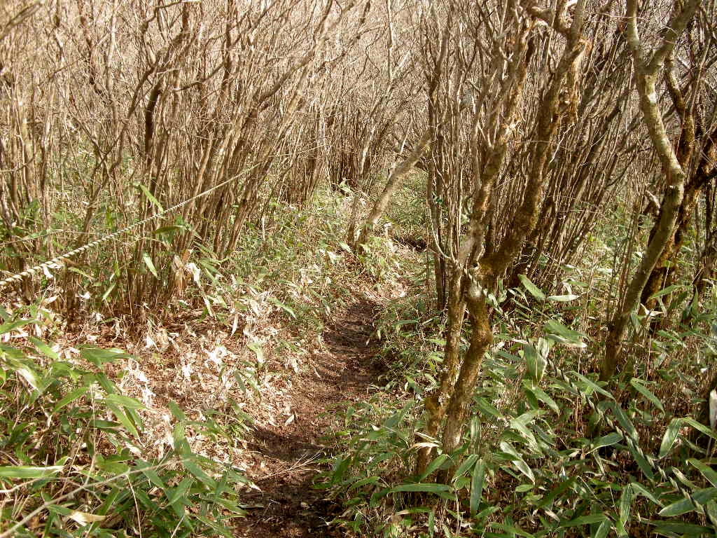 No206 四国・法皇山系・赤星山～豊受山縦走_b0185573_15411786.jpg