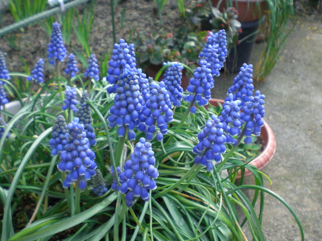 f0153475_18282137.jpg