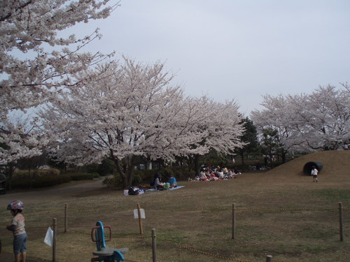 c0240877_23352085.jpg