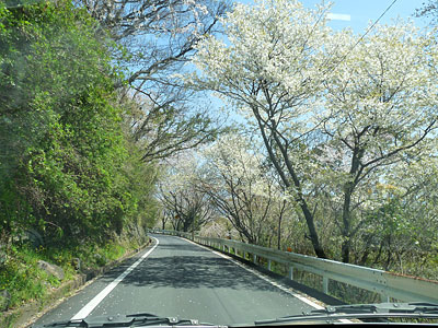 c0152779_281693.jpg