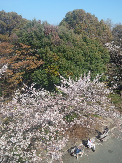 またまた先ほどの風景_f0130980_15533677.jpg