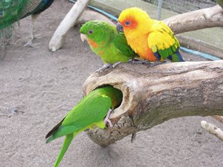 c0025481_155643.jpg