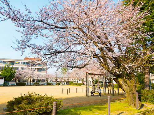c0203681_1726266.jpg