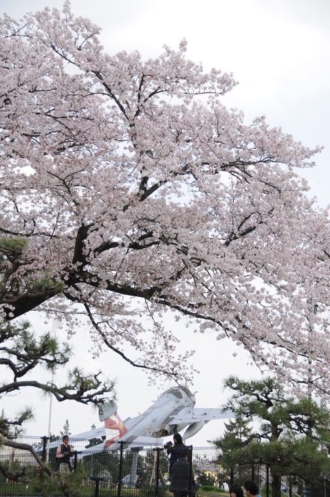 ４月１２日　厚木基地_f0097981_19382016.jpg