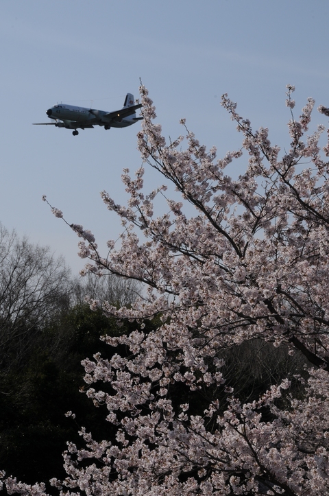 ４月１２日　厚木基地_f0097981_19462625.jpg