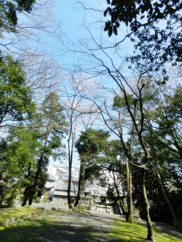 桜と豊川の春日神社。_c0212783_2052573.jpg