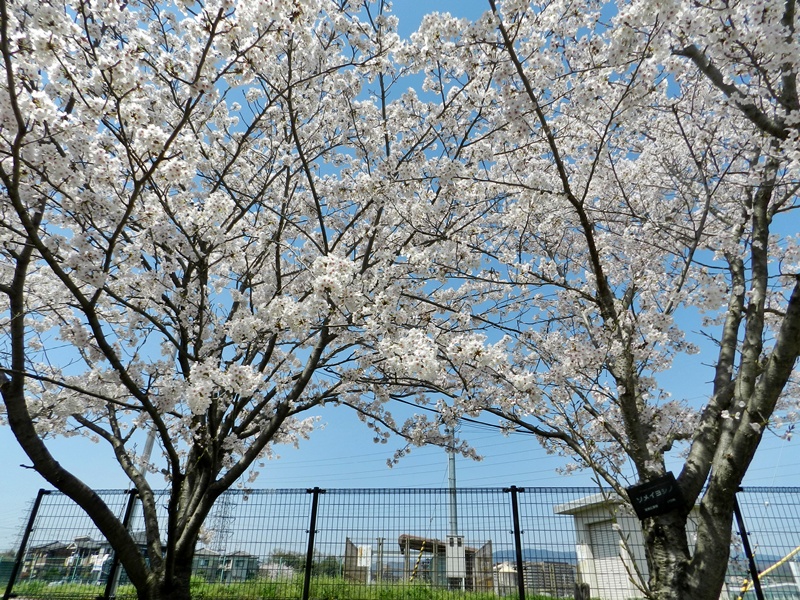 c0212783_21482324.jpg
