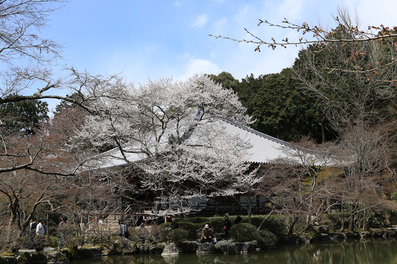 醍醐寺　伽藍編_f0224083_23504662.jpg