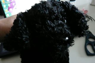 2012年4月12日 とうがたっていた。。。_b0098584_17393595.jpg