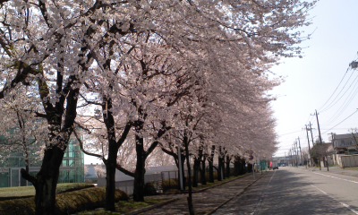 a0240486_1852398.jpg