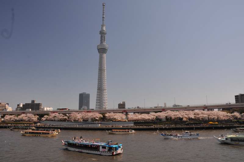 f0202686_20295670.jpg