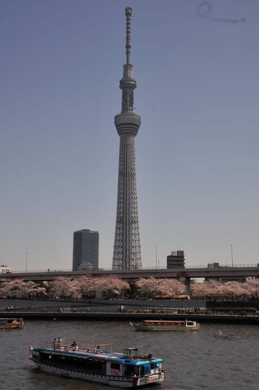 f0202686_2030929.jpg