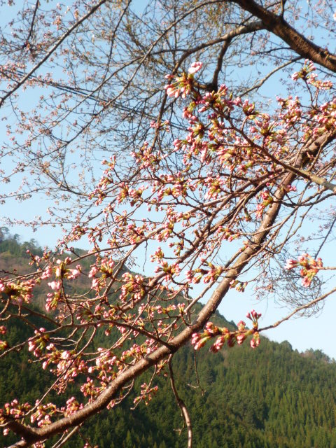 a0147891_1383025.jpg