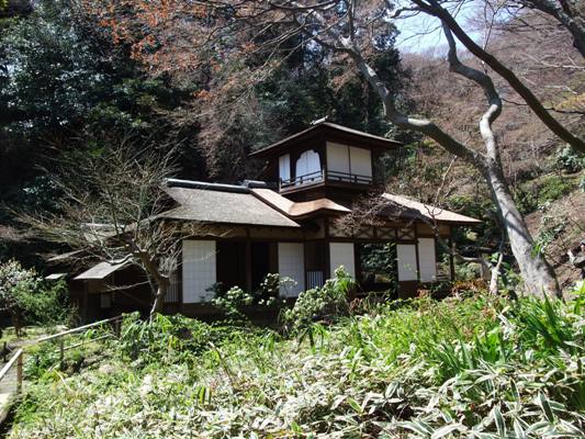 桜舞う古都鎌倉と横浜三渓園2大桜巡り_d0153294_10574844.jpg