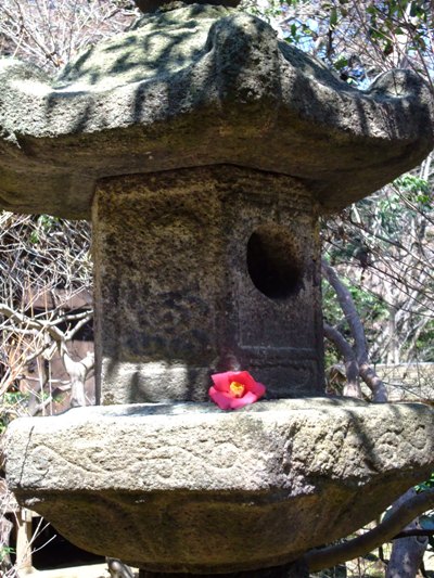 桜舞う古都鎌倉と横浜三渓園2大桜巡り_d0153294_10595333.jpg