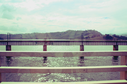 c0053898_848402.jpg