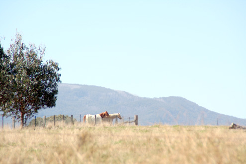c0053898_8511657.jpg