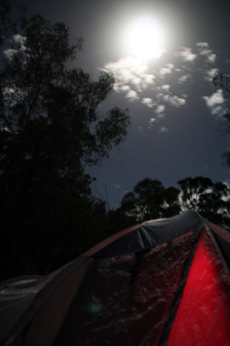c0053898_911715.jpg