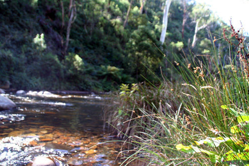 c0053898_932366.jpg