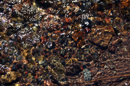 c0053898_974616.jpg