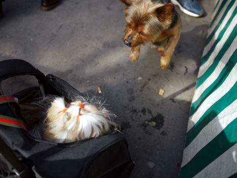 c0090198_2455333.jpg